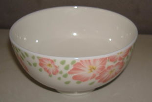 廠家直銷日用家居百貨 餐居碗碟選購(gòu)指南